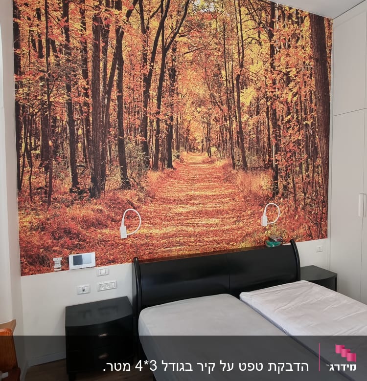 טפט יער סתיו עם עלים כתומים ועצים גבוהים